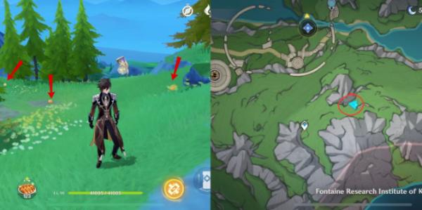 Genshin Impact| All Hidden Chests in the Fontaine Research Institute Region