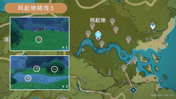 Windwheel Aster Locations and Farming Route in Genshin Impact 
