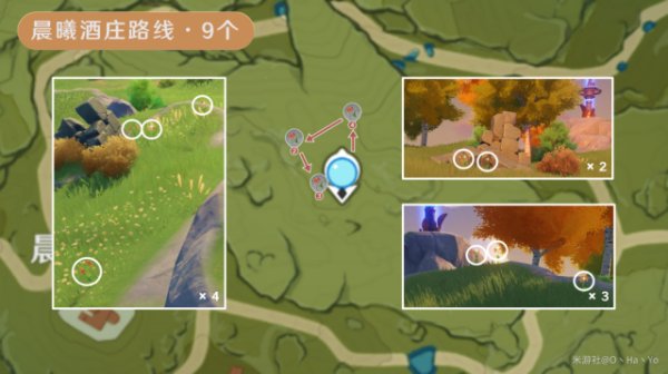 Windwheel Aster Locations and Farming Route in Genshin Impact 