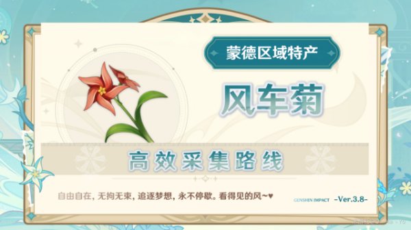 Windwheel Aster Locations and Farming Route in Genshin Impact 