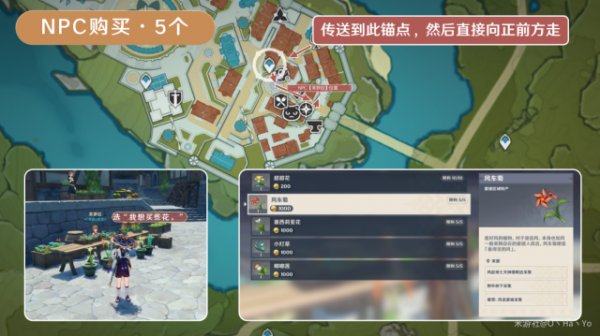 Windwheel Aster Locations and Farming Route in Genshin Impact 